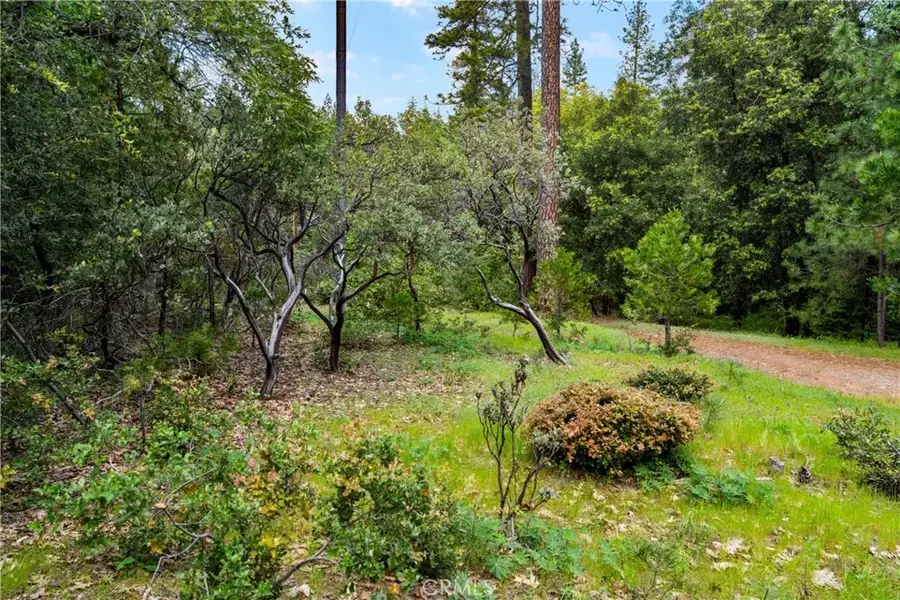 21324 Aqueduct, Pine Grove, CA 95665 - #3