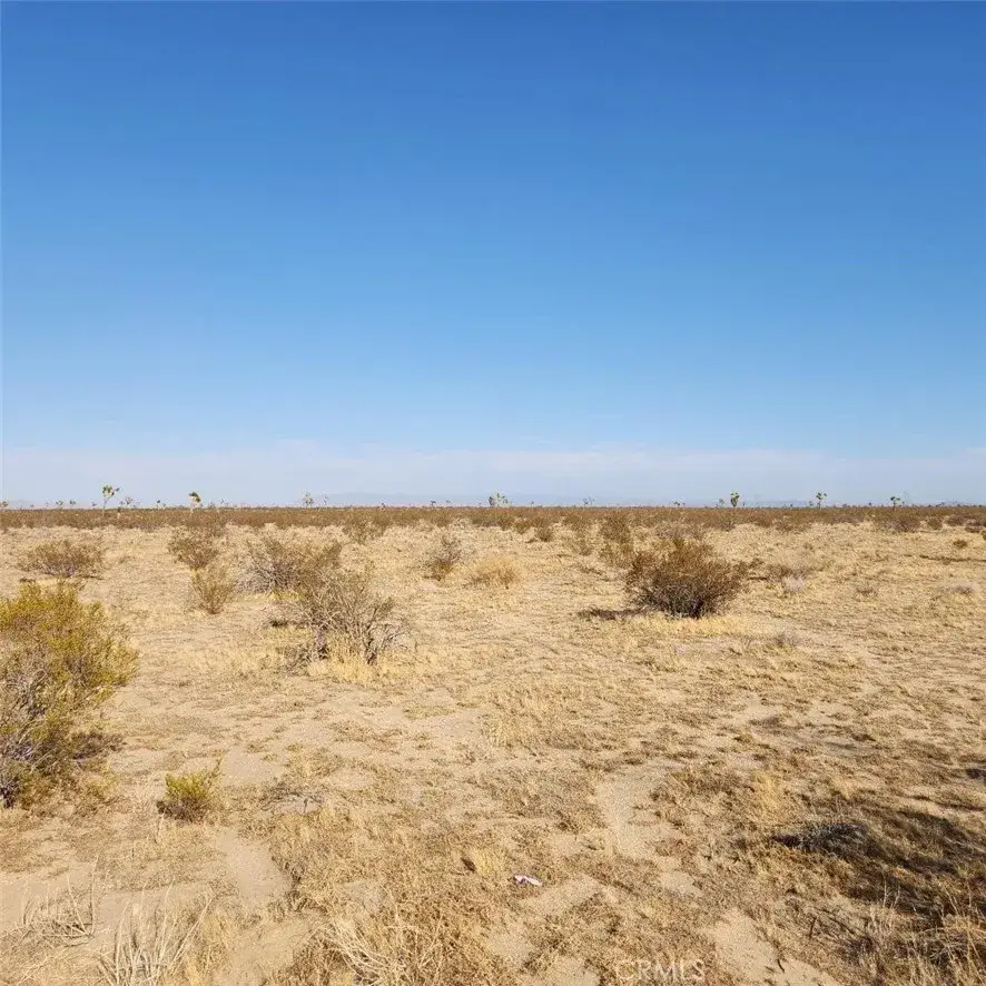 123 Wilson Ranch, Phelan, CA 92371 - #1