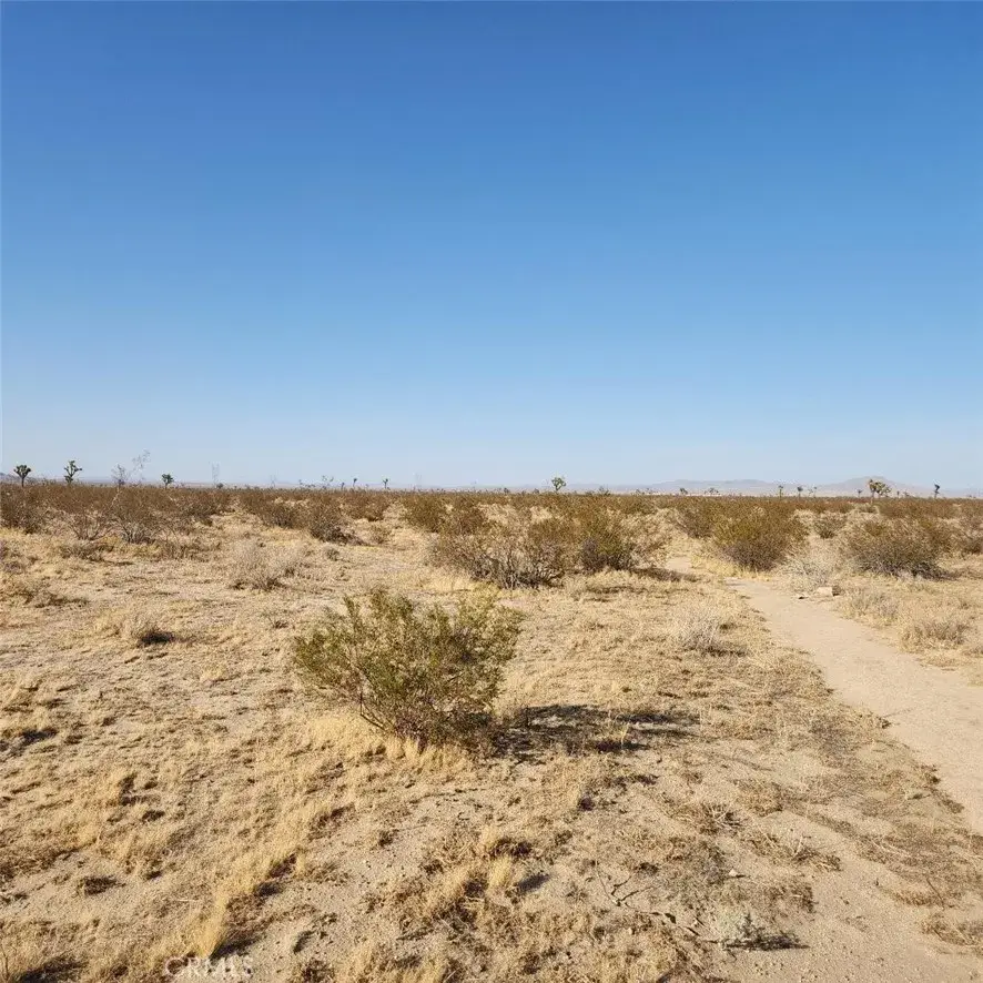 123 Wilson Ranch, Phelan, CA 92371 - #3