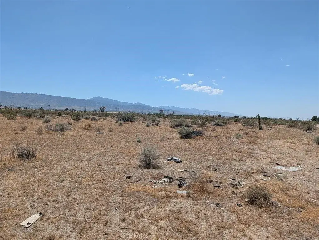 7 Dos Palmas, Pinon Hills, CA 92372 - #1