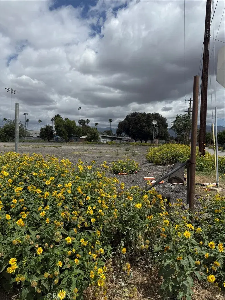 1616 4th, San Bernardino, CA 92411 - #1