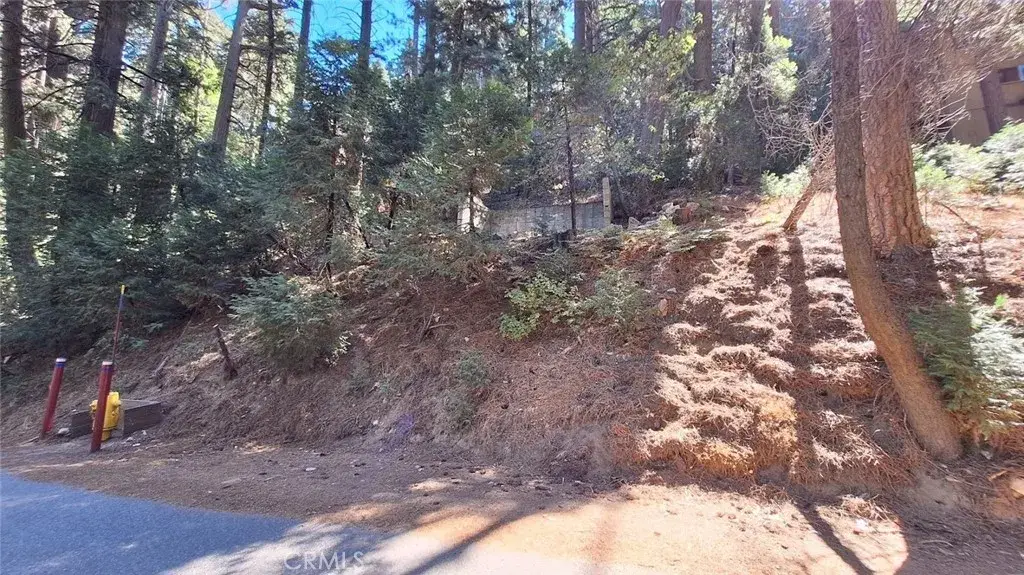 0 Sunderland, Lake Arrowhead, CA 92352 - #1
