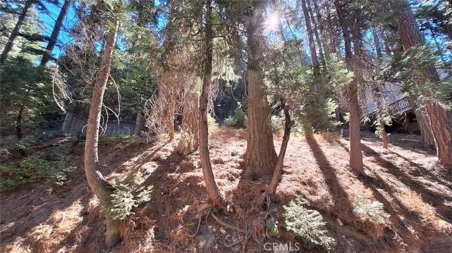 0 Sunderland, Lake Arrowhead, CA 92352 - #2