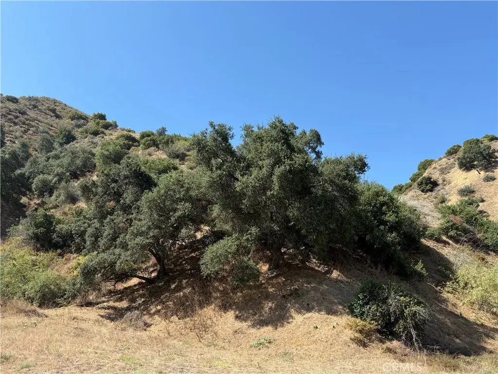 9040 La Tuna, Sun Valley, CA 91352 - #1