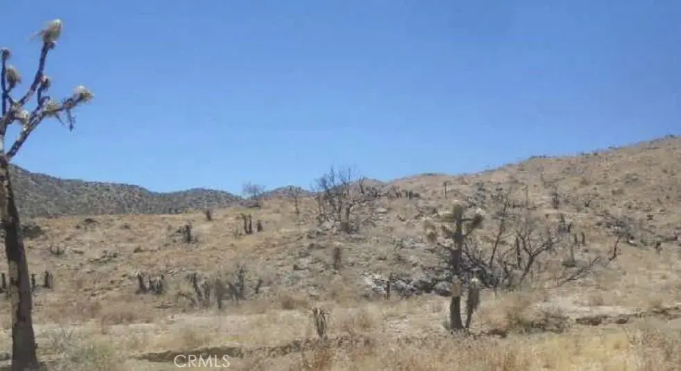 0 N Of Elata, Yucca Valley, CA 92284 - #1