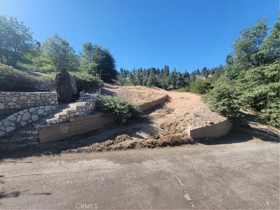 33345 Angeles, Green Valley Lake, CA 92341 - #2