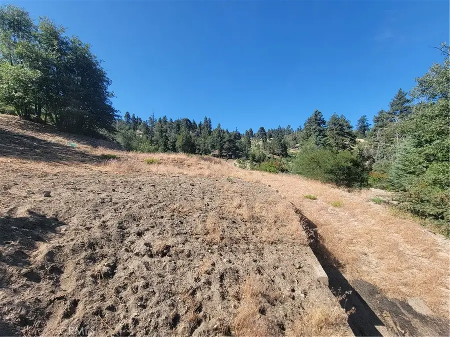 33345 Angeles, Green Valley Lake, CA 92341 - #3