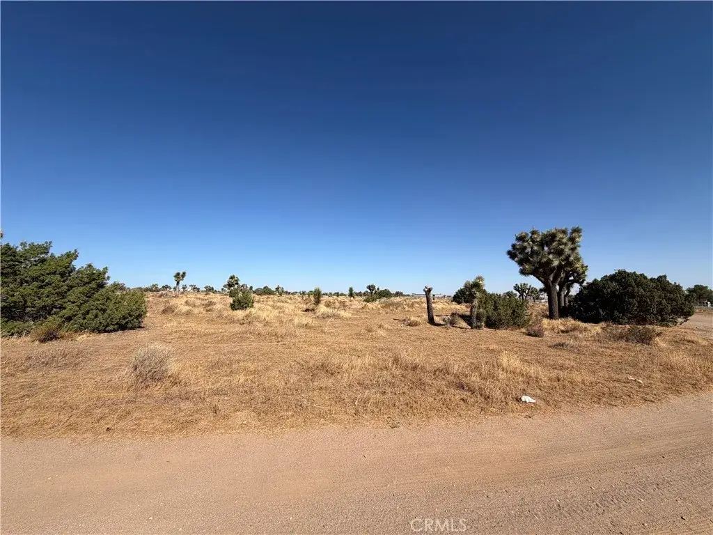 0 Vinton, Phelan, CA 92371 - #1