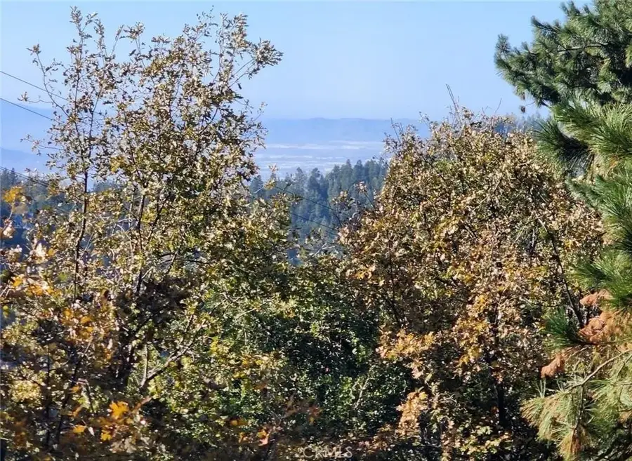 900 Lo, Twin Peaks, CA 92391 - #3