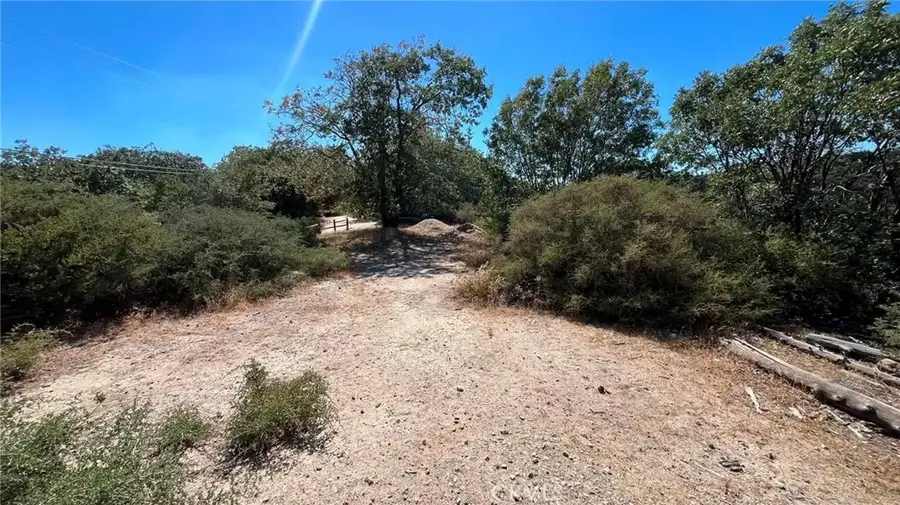 718 Cypress, Cedar Glen, CA 92321 - #3