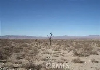 37105 Richard, Lucerne Valley, CA 92356 - #1