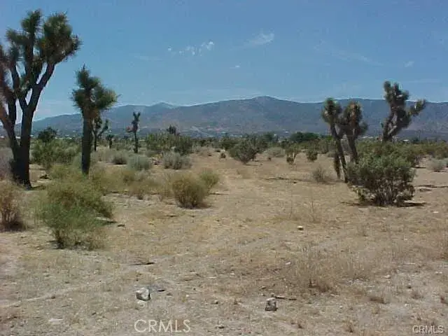 0 Bear Valley Rd/primavera Rd, Pinon Hills, CA 92372 - #2
