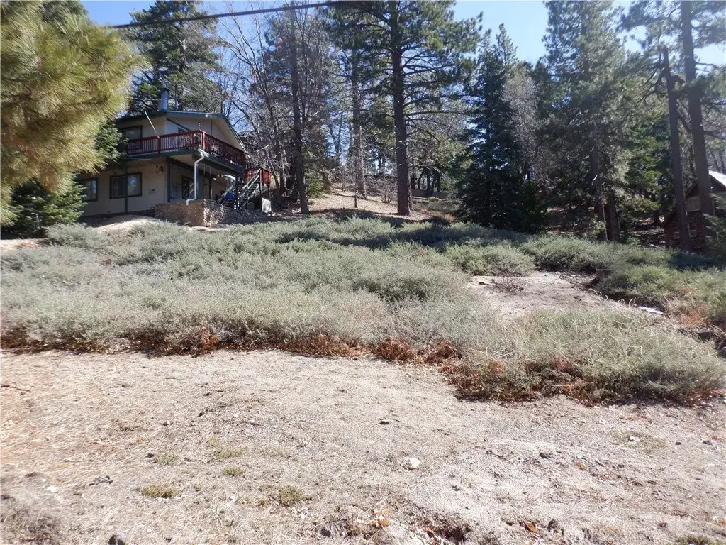 0 Wild Rose, Green Valley Lake, CA 92341 - #1