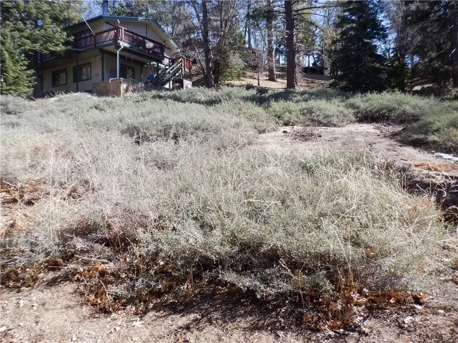 0 Wild Rose, Green Valley Lake, CA 92341 - #2