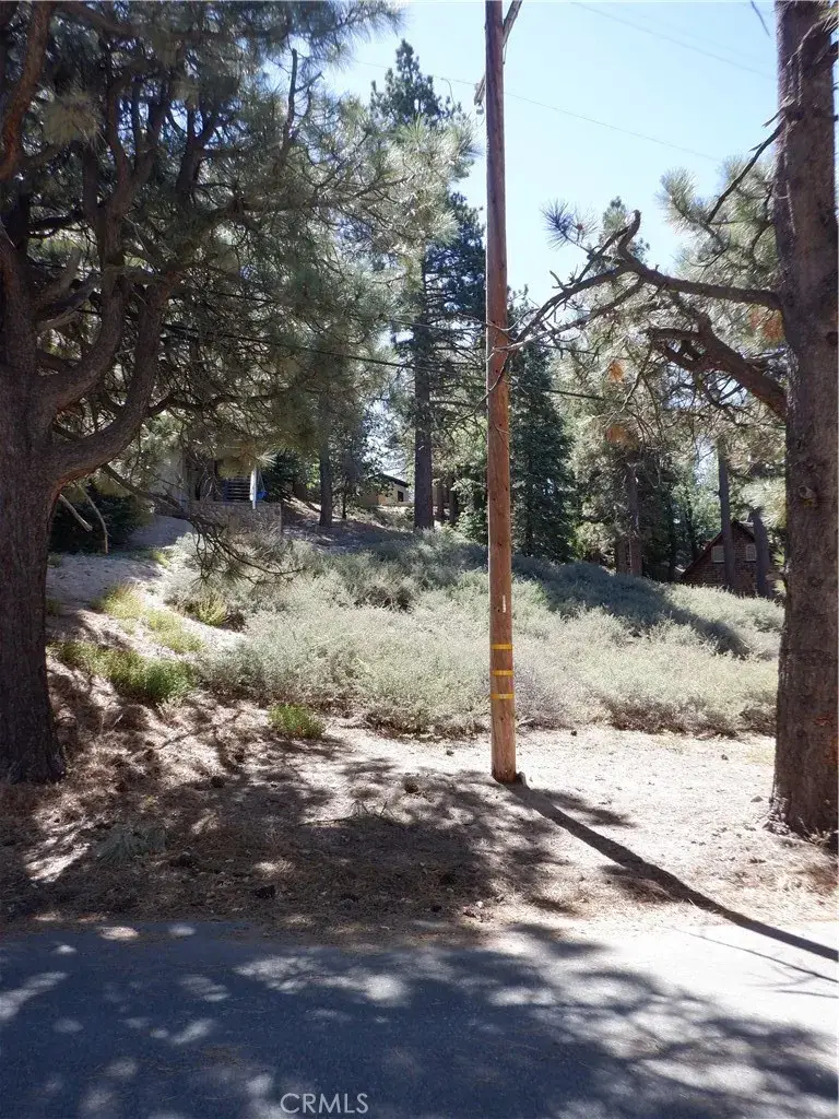 0 Wild Rose, Green Valley Lake, CA 92341 - #3