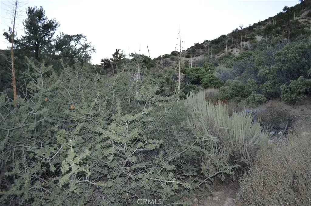 0 Verde, Pinon Hills, CA 92372 - #1