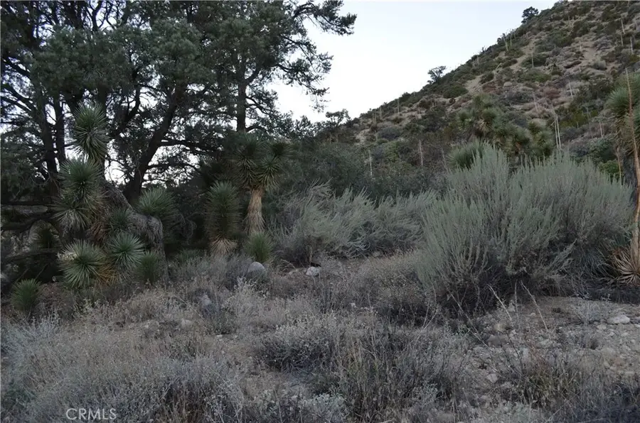 0 Verde, Pinon Hills, CA 92372 - #3