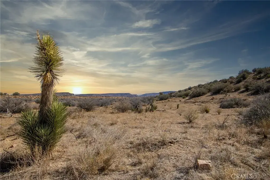 50600 Burns Canyon, Pioneertown, CA 92268 - #1