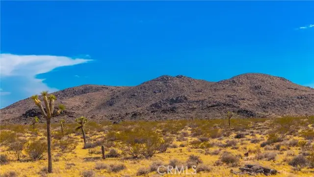 #2