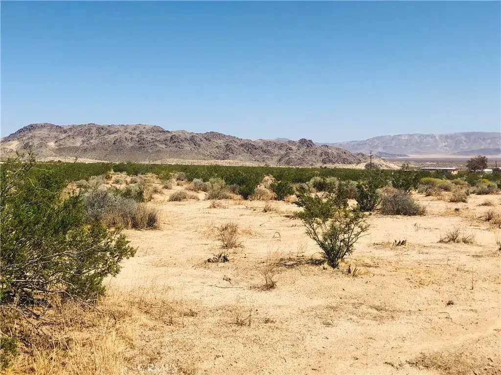 0 Near Dusty Mile, Landers, CA 92285 - #1