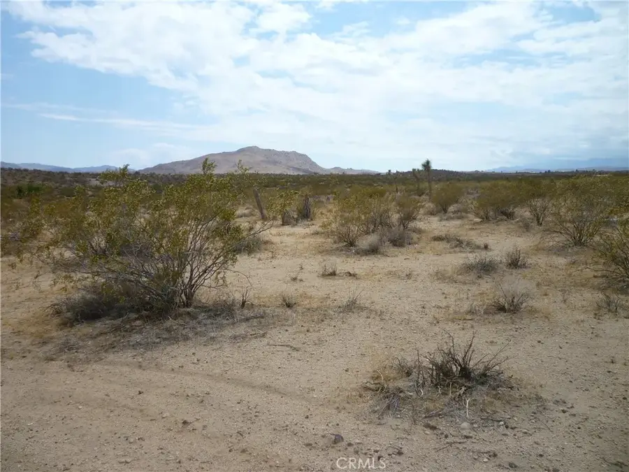 2345 Sunny Sands, Joshua Tree, CA 92252 - Image #2