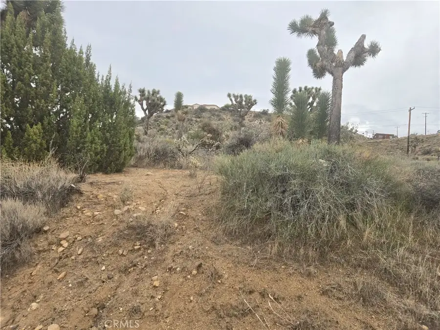 54763 Twentynine Palms, Yucca Valley, CA 92284 - Image #2