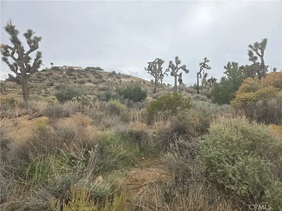 54777 Twentynine Palms, Yucca Valley, CA 92284 - Image #2