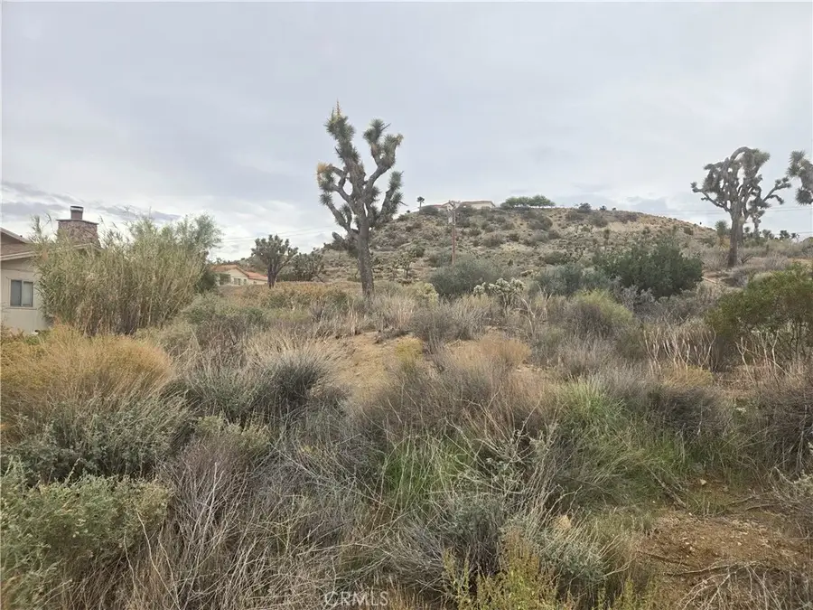 54777 Twentynine Palms, Yucca Valley, CA 92284 - Image #3