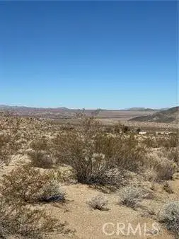 0 Jackass, 29 Palms, CA 92277