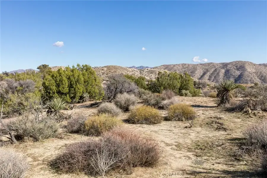 0 Magnolia, Morongo Valley, CA 92256 - #2