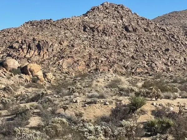 7085 Alturas, Joshua Tree, CA 92252