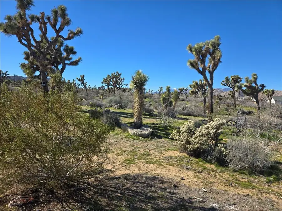 7484 Palm, Yucca Valley, CA 92284 - #2