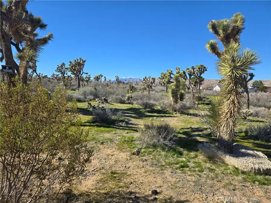 7484 Palm, Yucca Valley, CA 92284 - #3