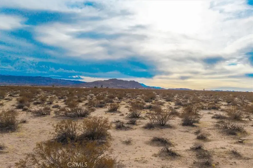 62155 Moonlight Mesa, Joshua Tree, CA 92252 - #1