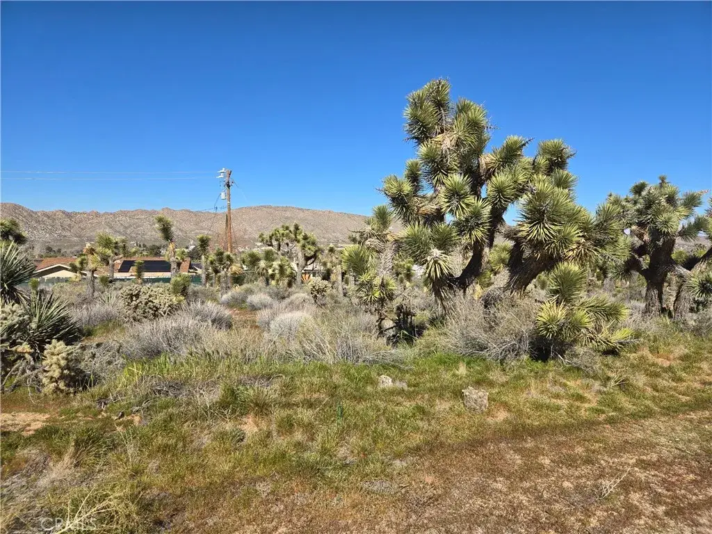 55000 Bunny, Yucca Valley, CA 92284 - #1