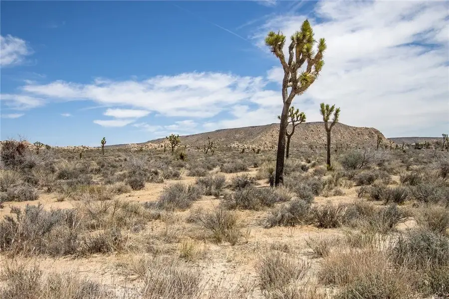 52552 Gamma Gulch, Twentynine Palms Yucca Valley, CA 92284 - #3
