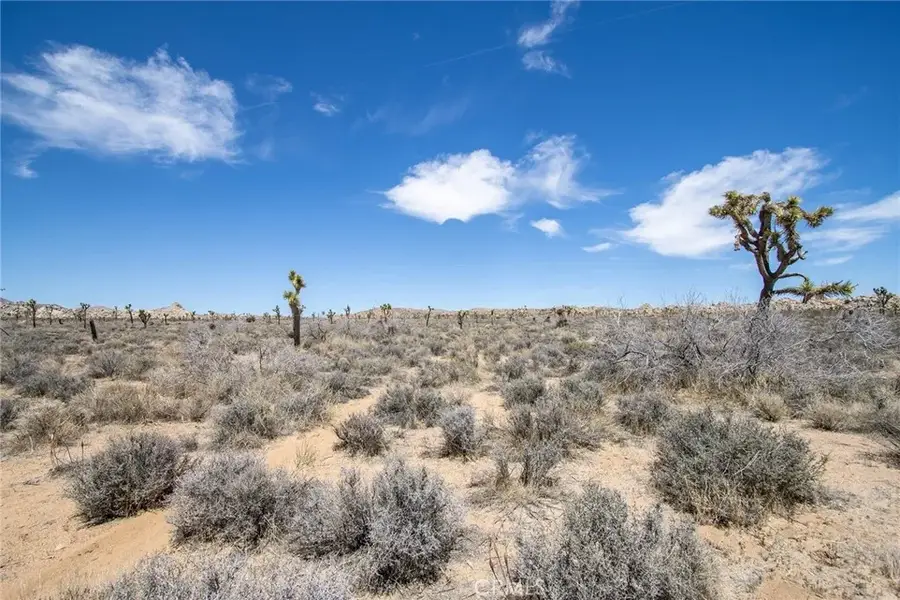 2800 Balsa, Yucca Valley, CA 92284 - #2