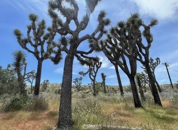 7777 Onaga, Yucca Valley, CA 92284