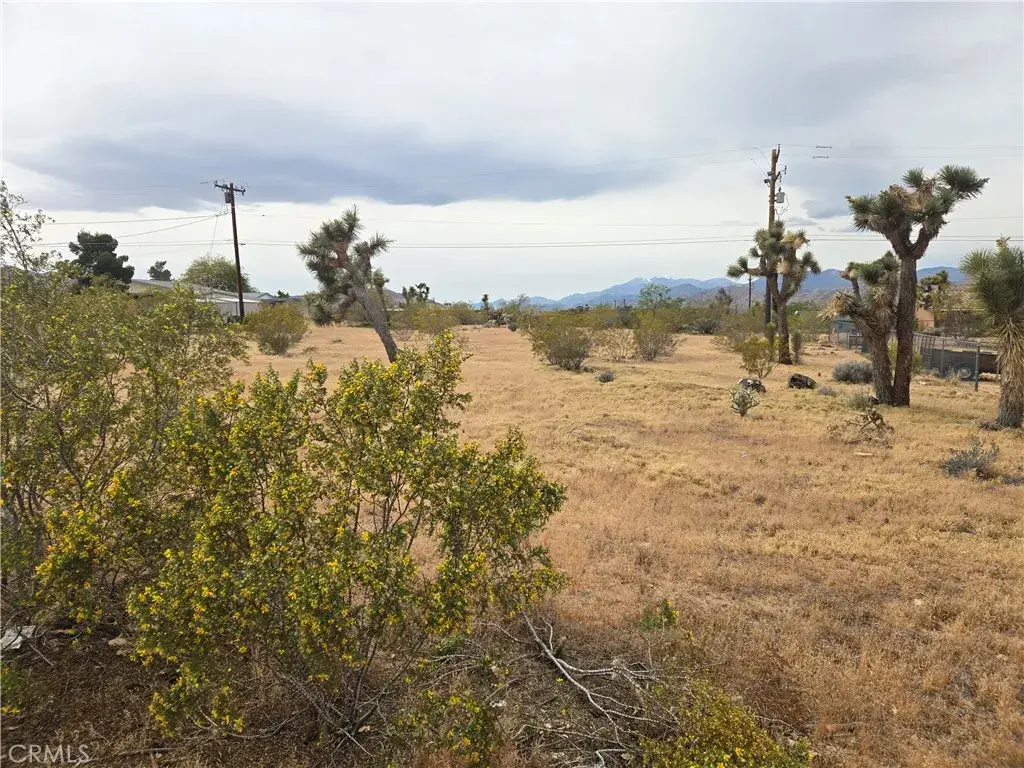 7414 Alaba, Yucca Valley, CA 92284 - #1