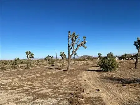 57031 Buena Vista, Yucca Valley, CA 92284 - #2