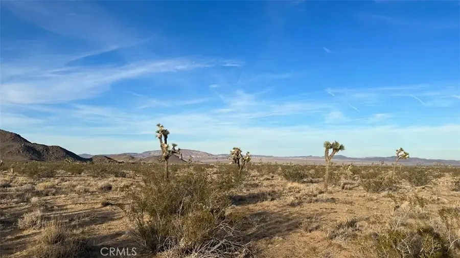 59775 Bearing Tree, Landers, CA 92285 - #3
