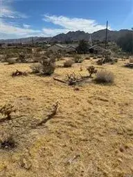 0 E Parkway, Joshua Tree, CA 92252 - #3