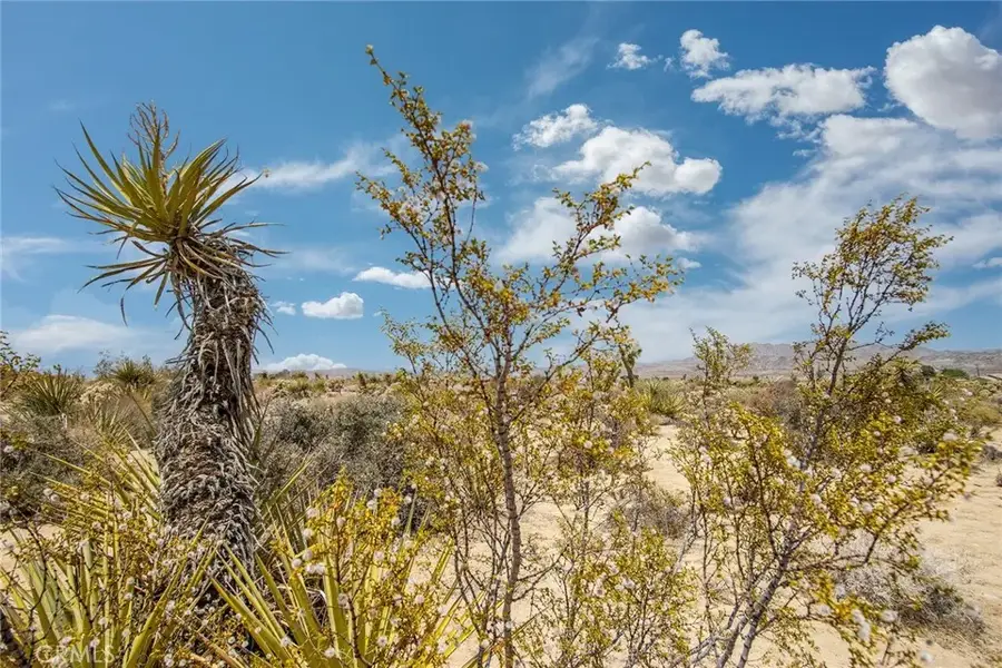 61246 Melton, Joshua Tree, CA 92252 - #3
