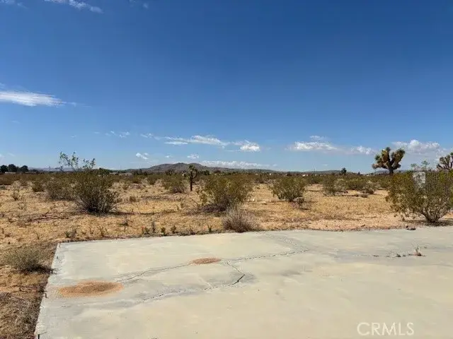 1 Mitch, Yucca Valley, CA 92284 - #3