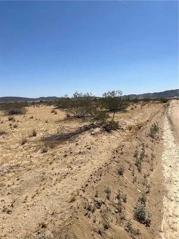 0 Division, Joshua Tree, CA 92252
