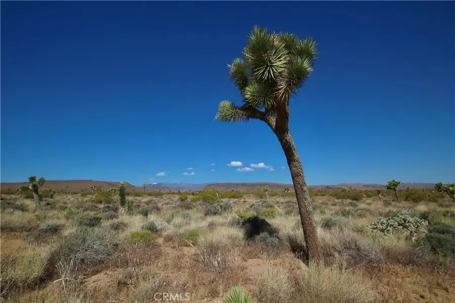 49 Aberdeen, Yucca Valley, CA 92284 - #3