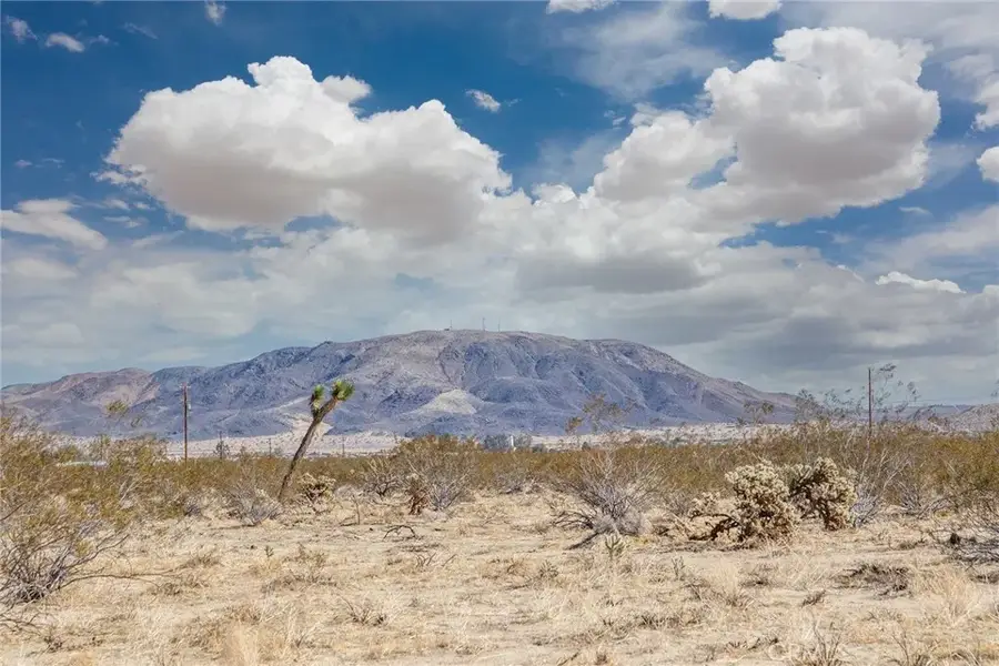 2222 Valley Vista, Johnson Valley, CA 92285 - #3