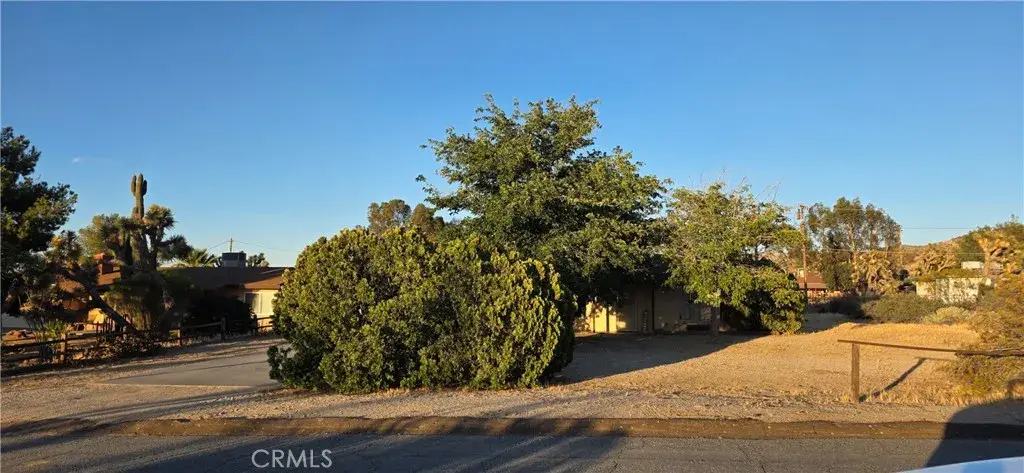 7801 Condalia, Yucca Valley, CA 92284 - #1