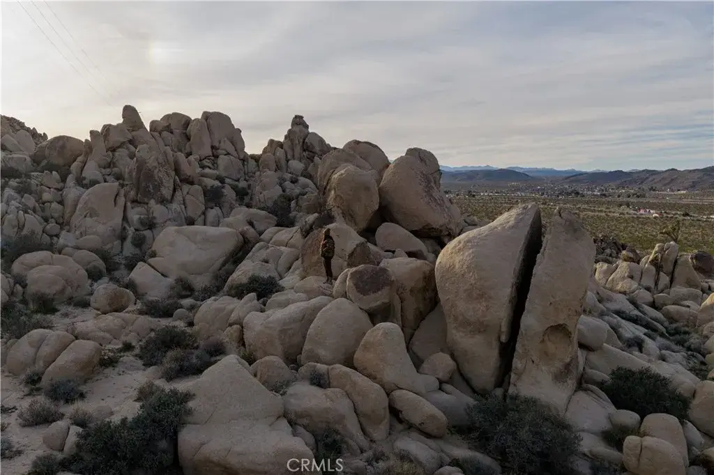 63251 Chickasaw, Joshua Tree, CA 92252 - #1