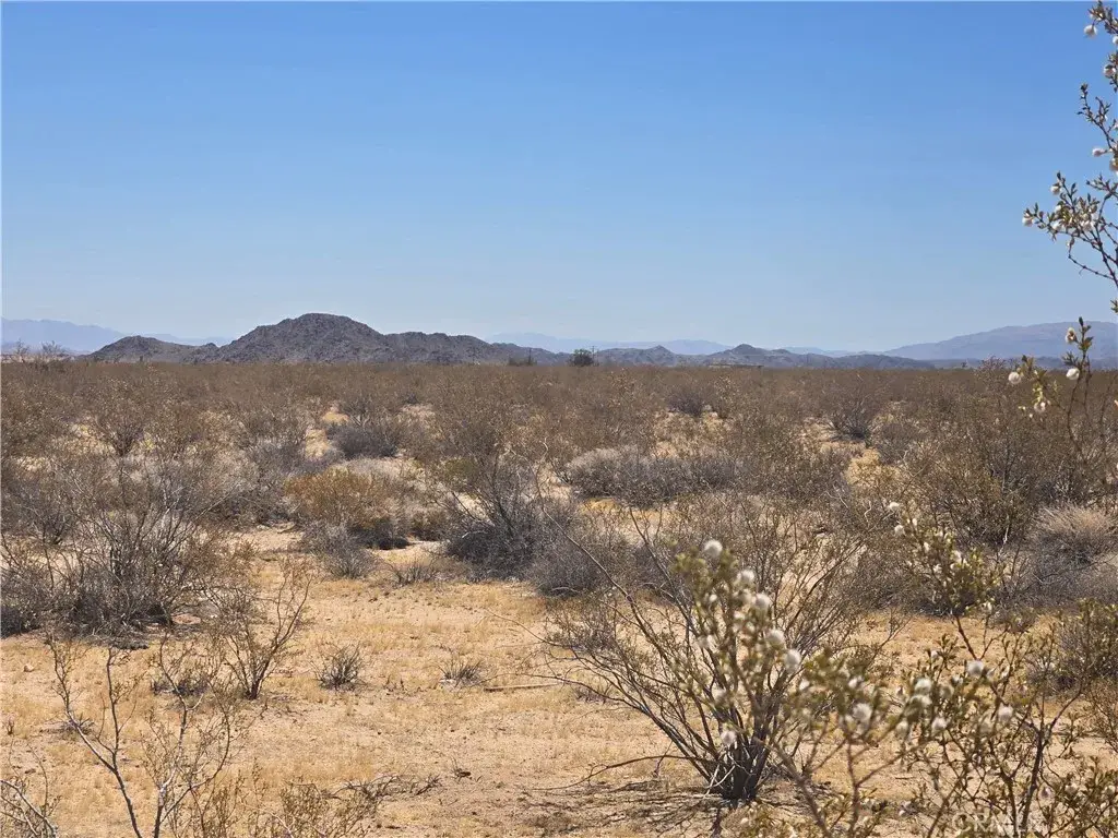 1577 Mcgarry, Joshua Tree, CA 92252 - #1